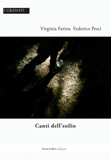 Canti dell'esilio