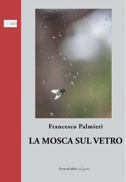 La mosca sul vetro