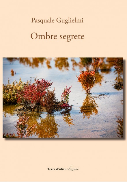 Ombre segrete