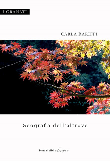 Geografia dell'altrove