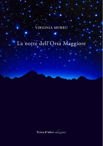 La notte dell'Orsa Maggiore